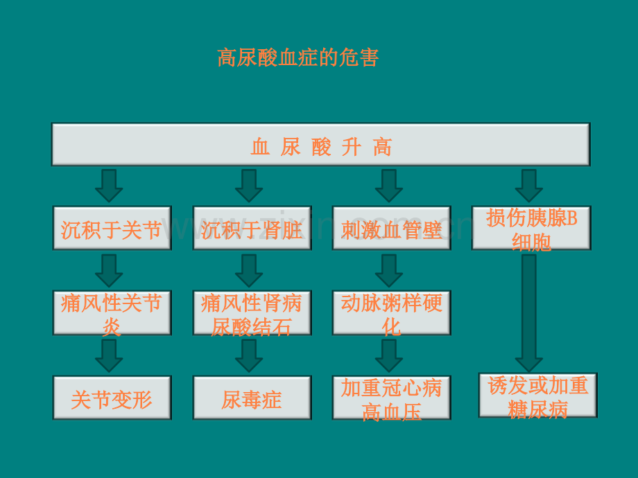 痛风与高尿酸血症课件.ppt_第3页