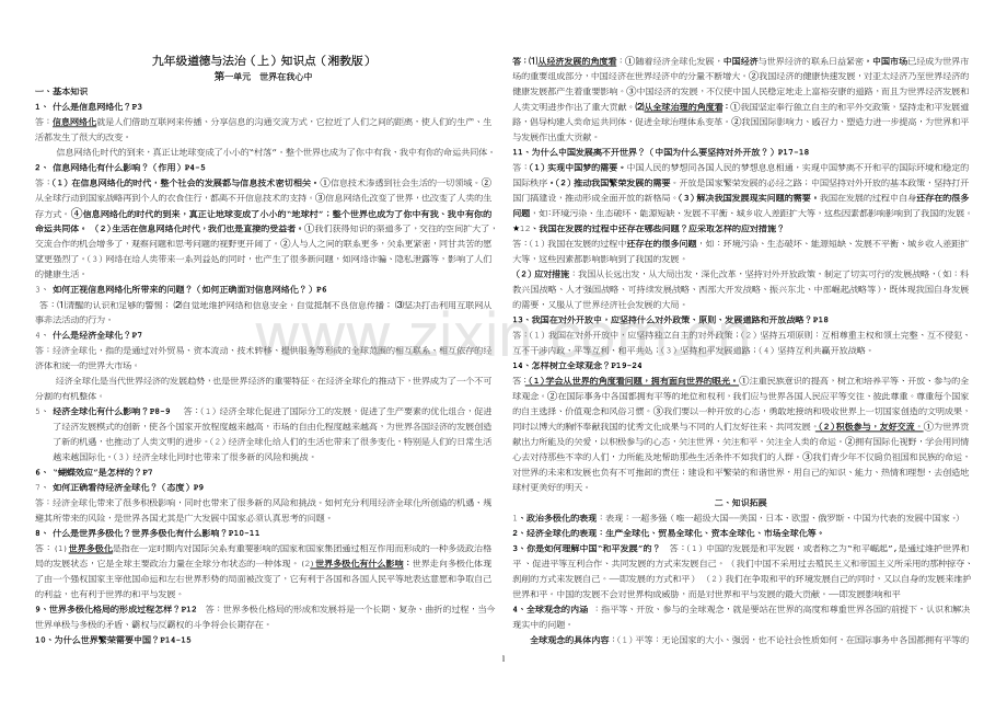 湘教版九年级道德与法治上复习资料.doc_第1页