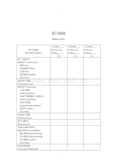 十五、资产负债表.doc