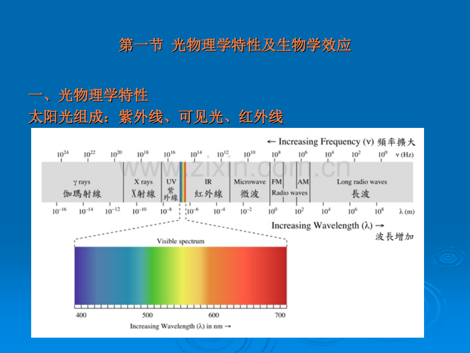 第三章-皮肤光生物学ppt课件.ppt_第2页