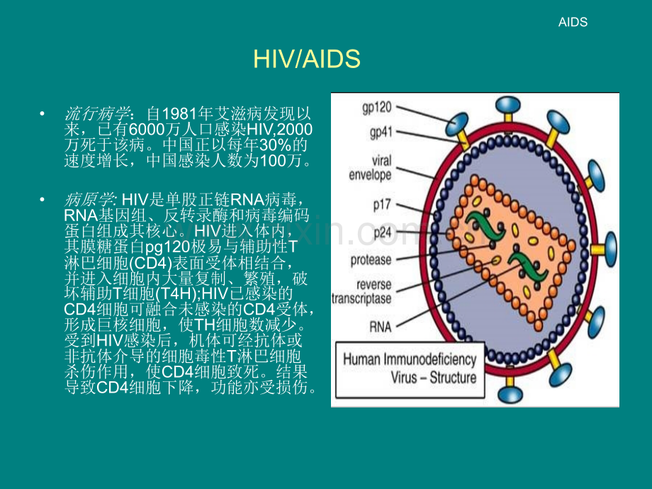 艾滋病相关呼吸道感染ppt课件.ppt_第2页