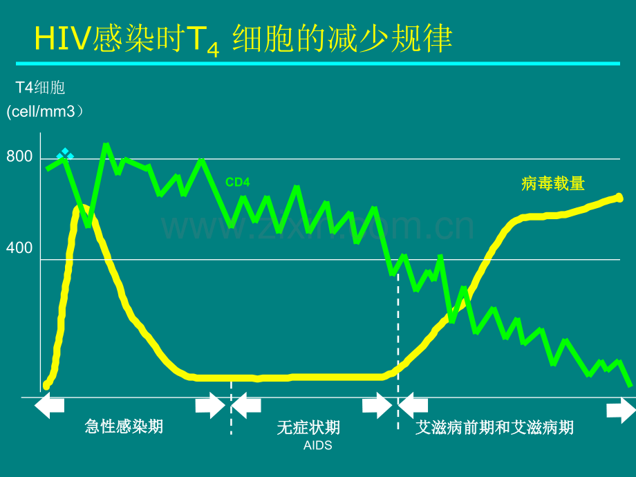 艾滋病相关呼吸道感染ppt课件.ppt_第3页