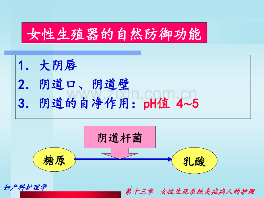 妇科炎症病人的护理(1)PPT课件.ppt_第3页