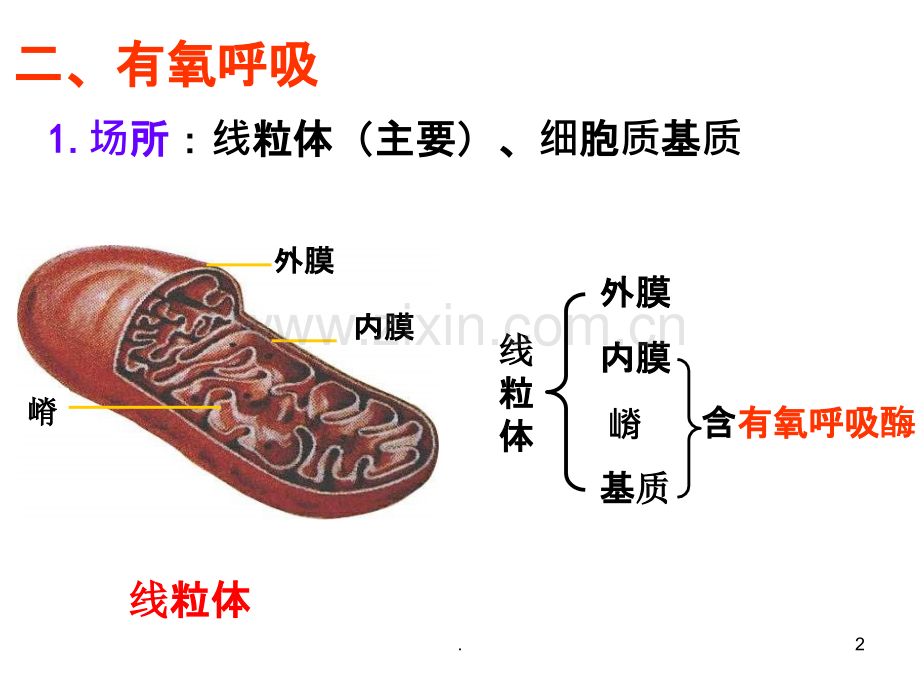 ATP的主要来源细胞呼吸PPT课件.ppt_第2页