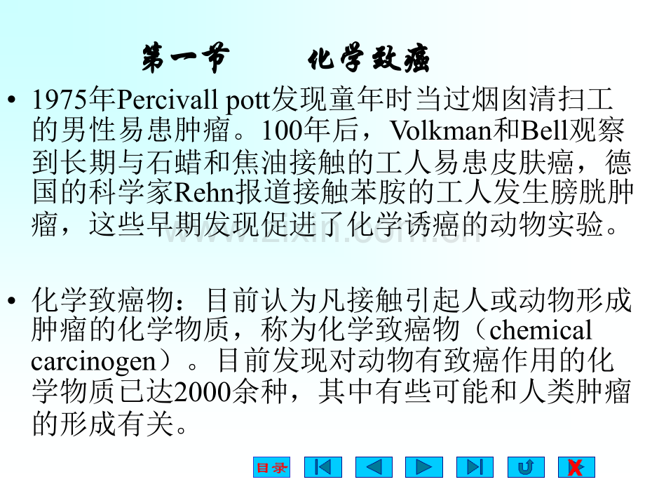 肿瘤学二.ppt_第2页