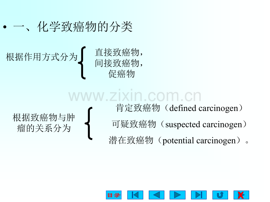 肿瘤学二.ppt_第3页