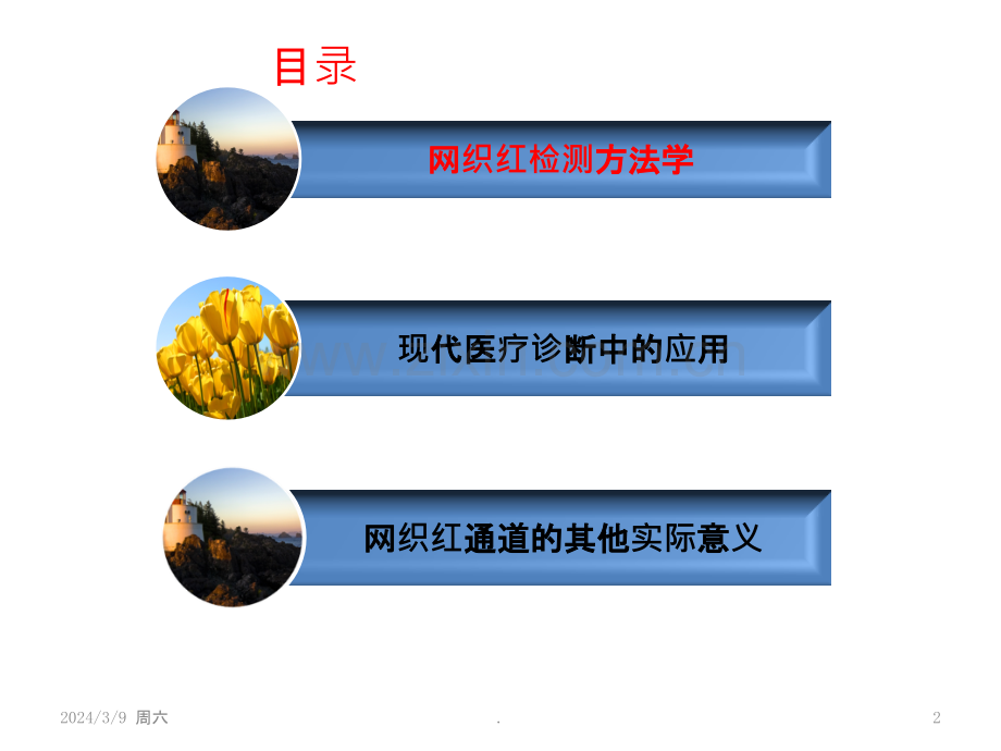 网织红检测方法学及在现代医疗诊断中的应用-推广会ppt课件.pptx_第2页