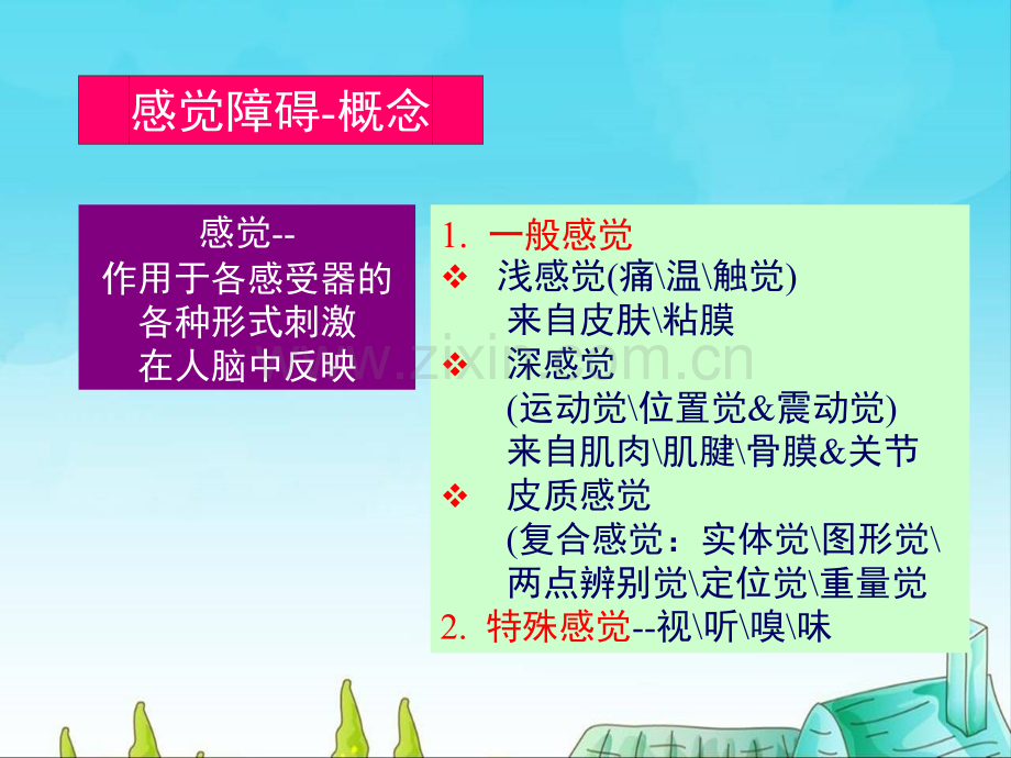 中枢神经的传导通路感觉ppt课件.pptx_第2页