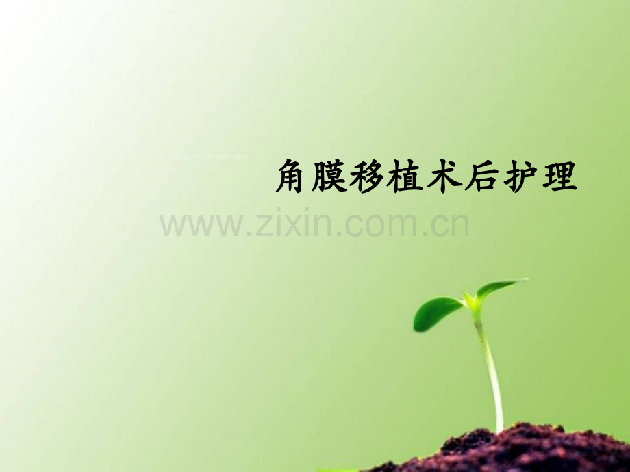 角膜移植术后护理ppt课件.pptx_第1页