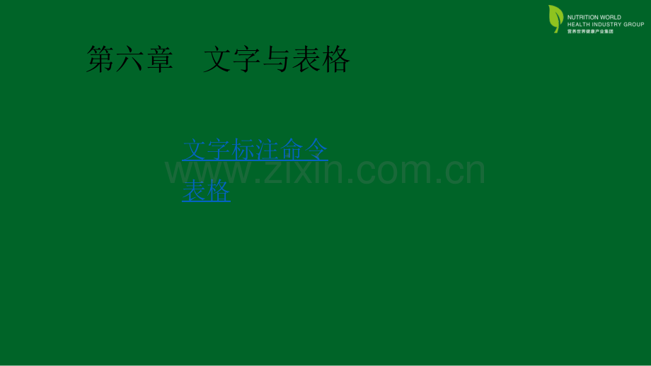 CAD文字与表格.ppt_第1页