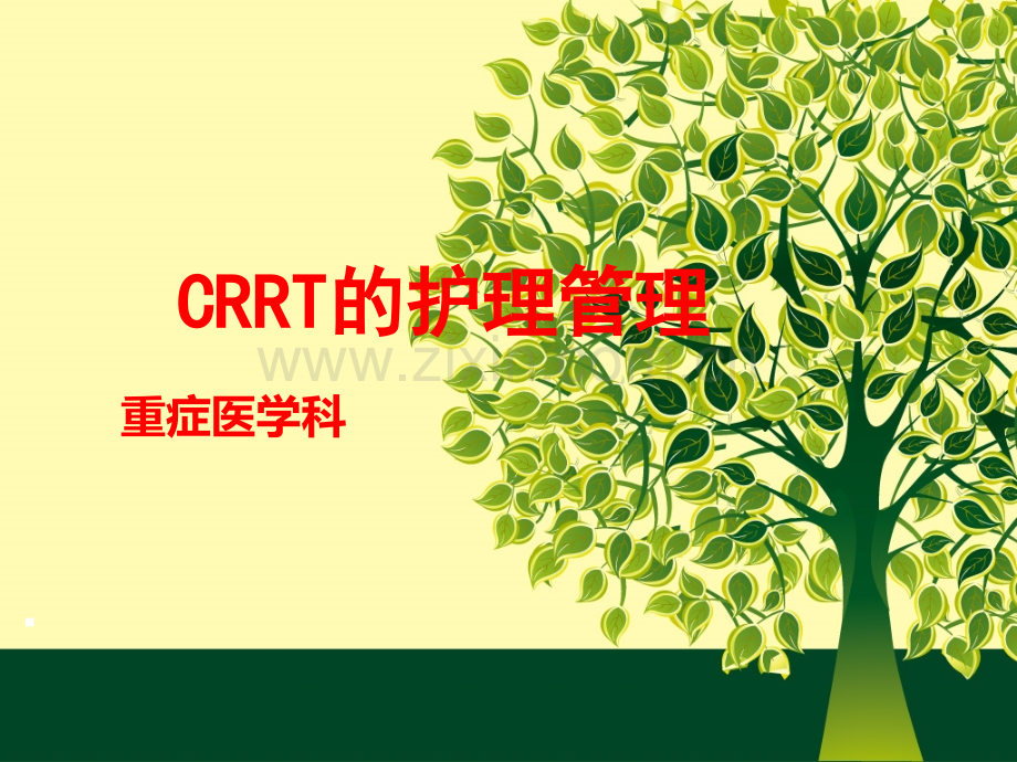 CRRT的护理管理.ppt_第1页