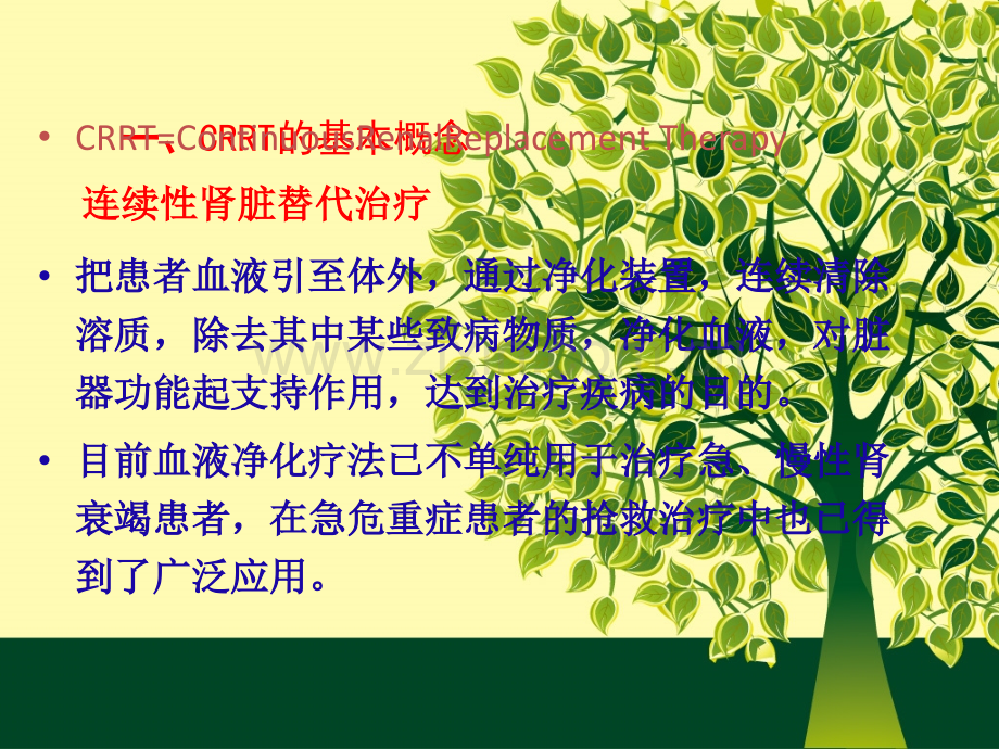 CRRT的护理管理.ppt_第3页