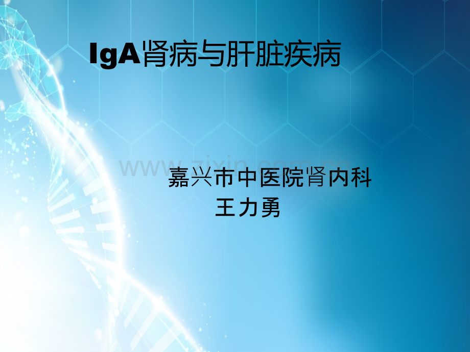 IGA肾病与肝脏疾病ppt课件.ppt_第1页