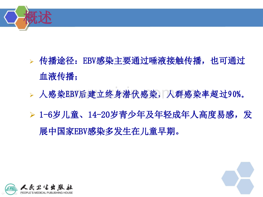 EB病毒检测技术进展及临床应用ppt课件.ppt_第3页