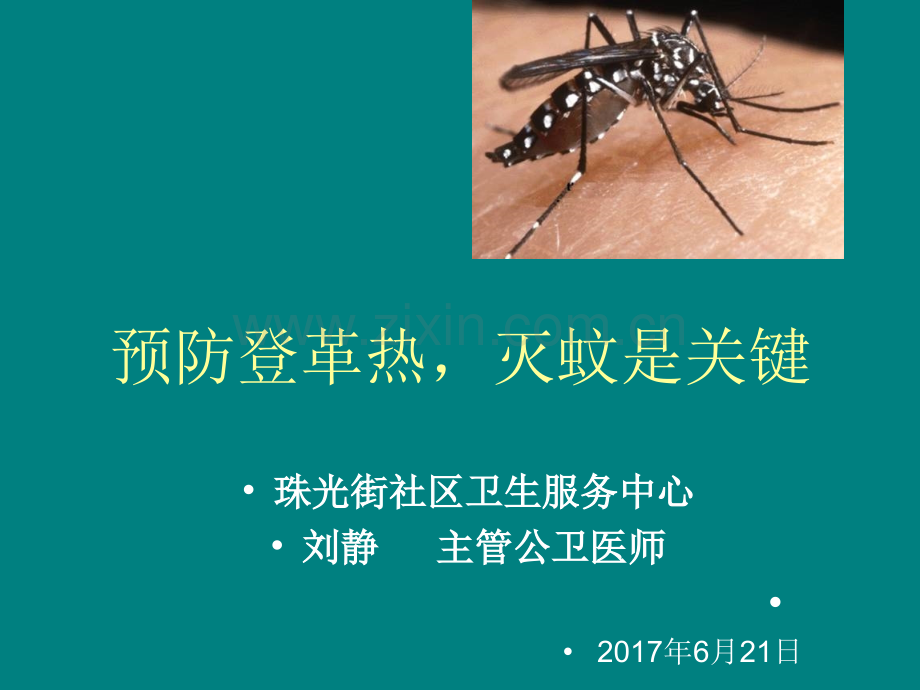 预防登革热-灭蚊是关键.ppt_第1页