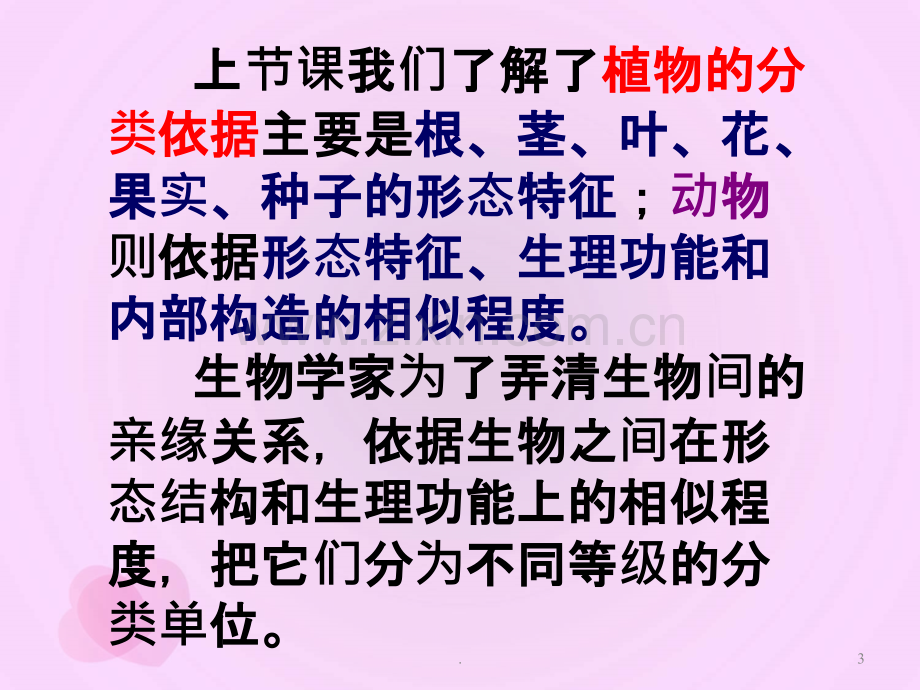 第二节从种到界PPT课件.ppt_第3页