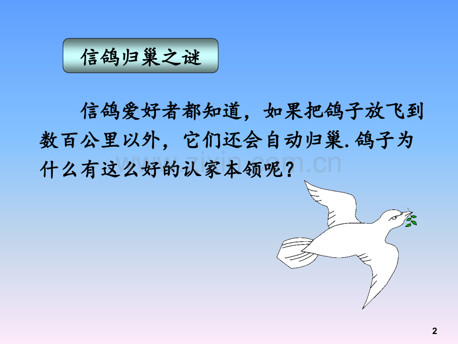 《16-磁的应用》PPT课件.ppt_第2页