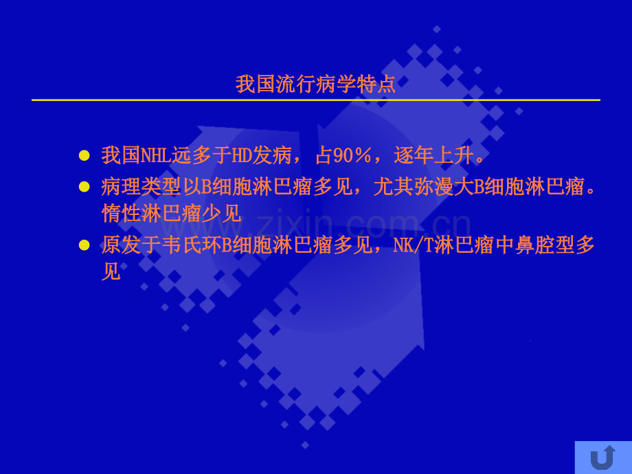 非霍奇金淋巴瘤-ppt课件.ppt_第3页