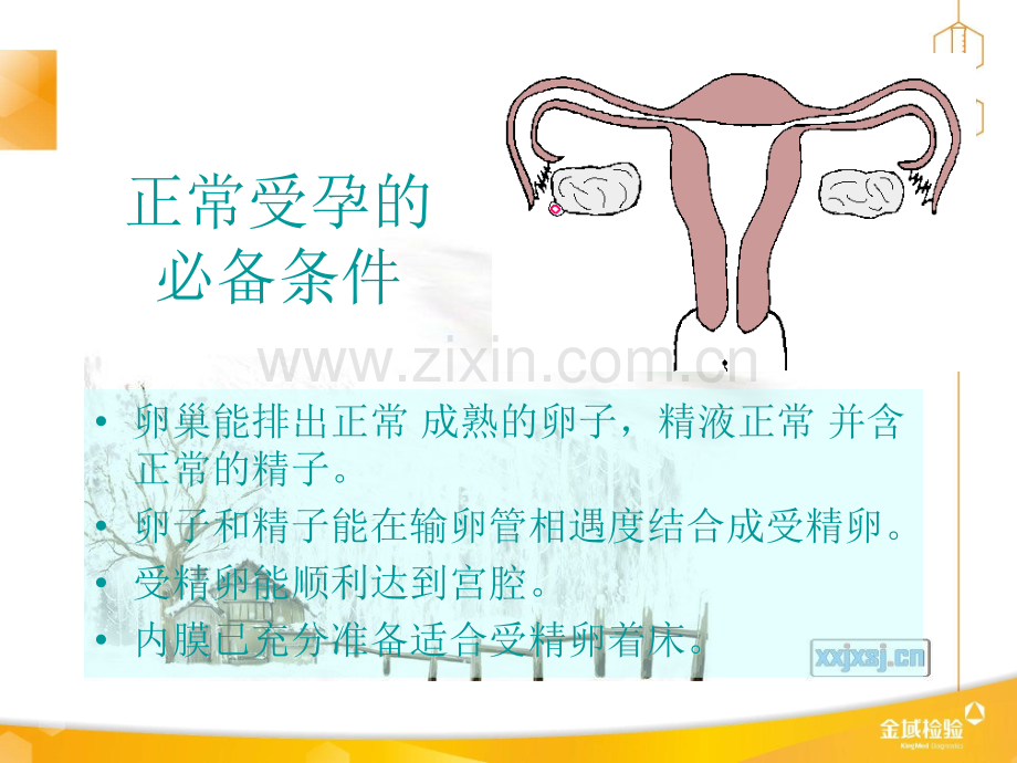 不孕症妇女的护理ppt课件.ppt_第3页