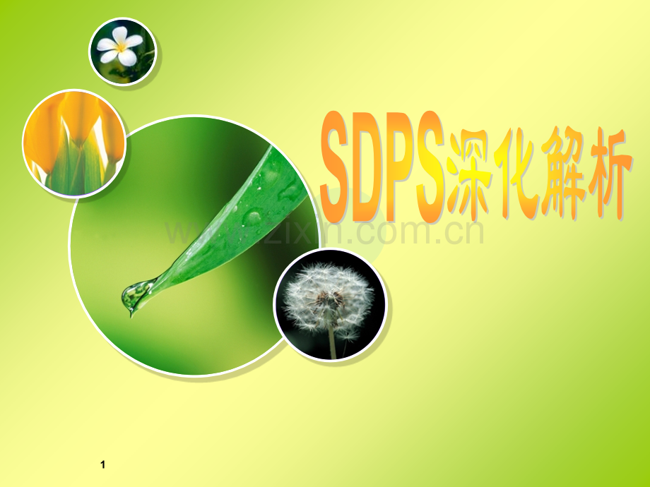 sdps行销金句.ppt_第1页