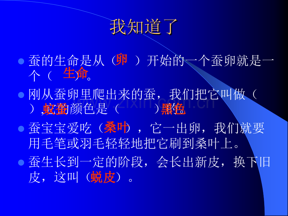 《蛹变成了什么》.ppt_第2页