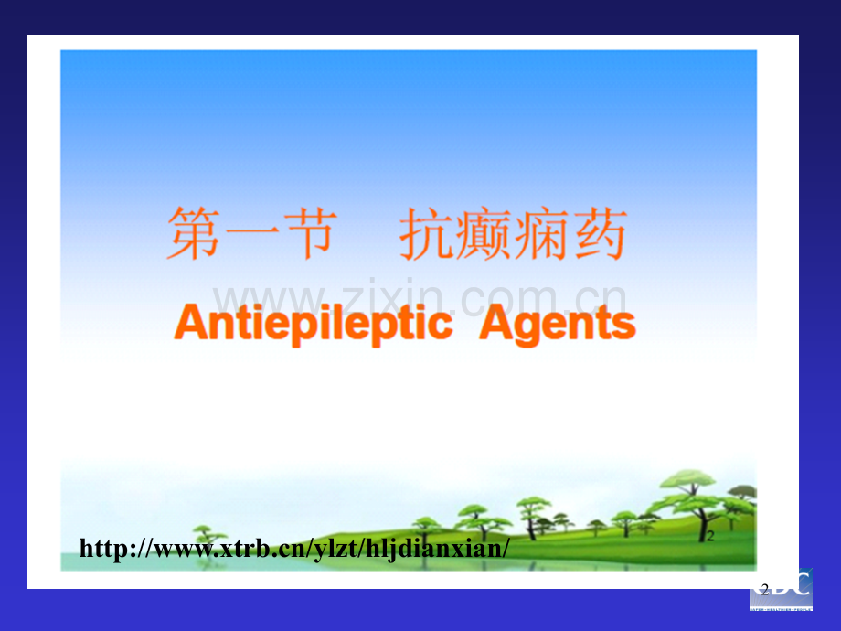 癫痫的医学课件ppt课件.ppt_第2页