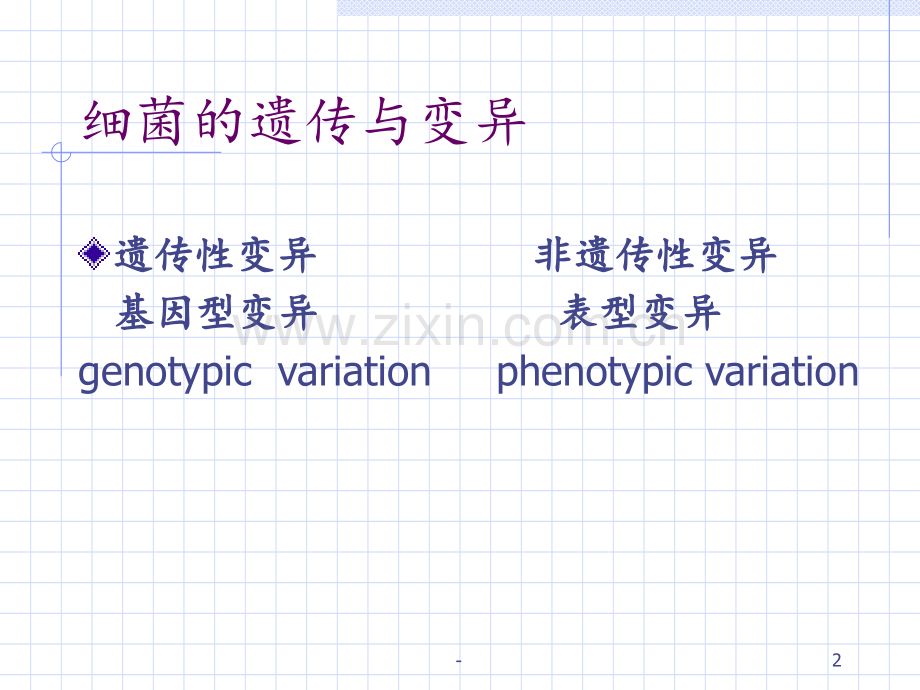 13细菌的遗传和变异PPT课件.ppt_第2页