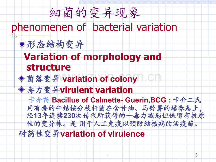 13细菌的遗传和变异PPT课件.ppt_第3页