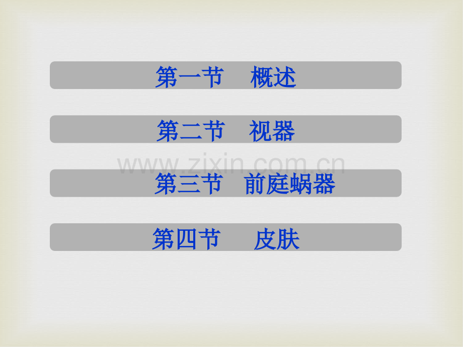 感觉器官PPT课件.ppt_第2页