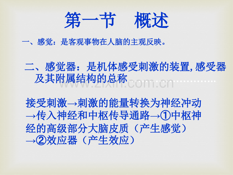 感觉器官PPT课件.ppt_第3页