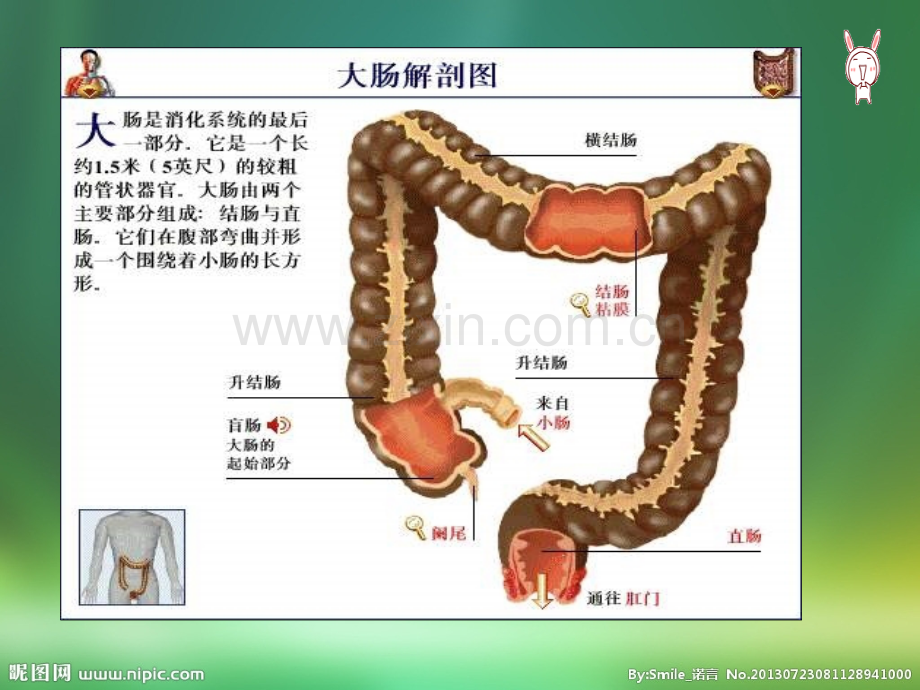 直肠癌伴多发转移的护理查房ppt课件.ppt_第3页