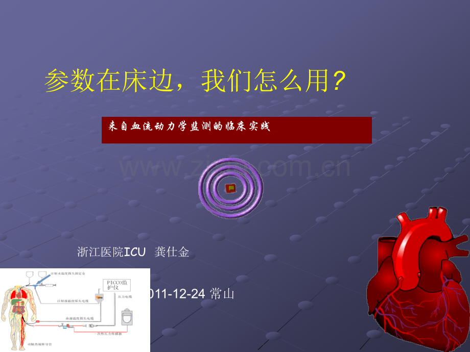 参数在床边-我们怎么用ppt课件.ppt_第1页