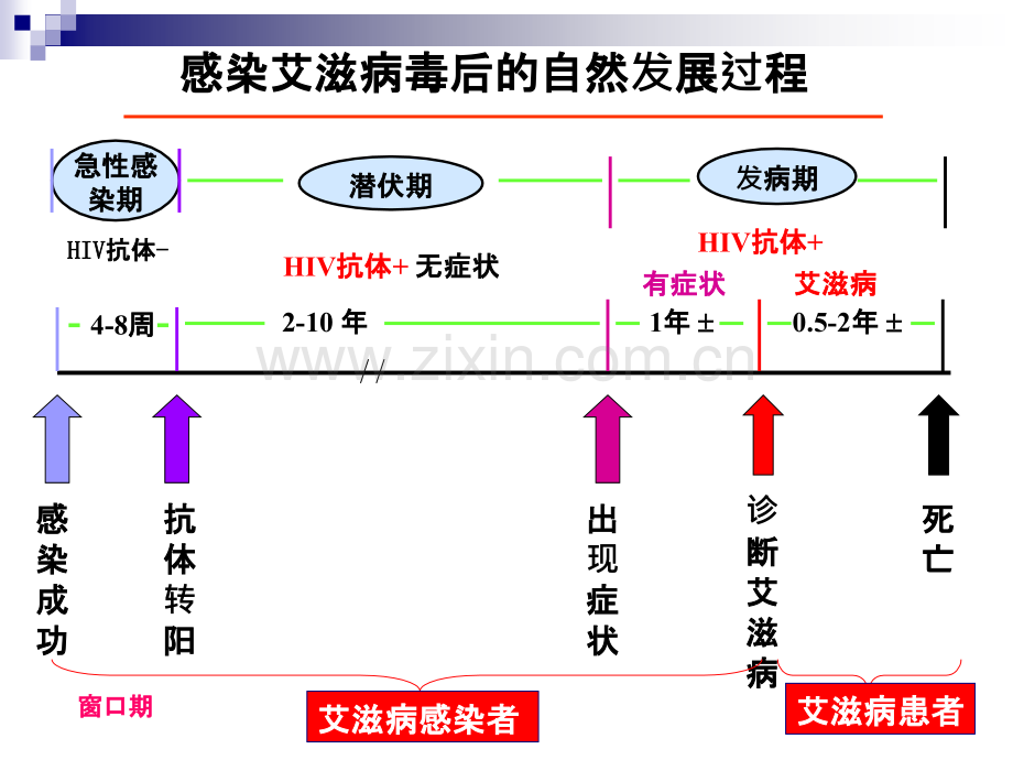 艾滋病常用实验室检测及临床意义分析PPT课件.ppt_第3页