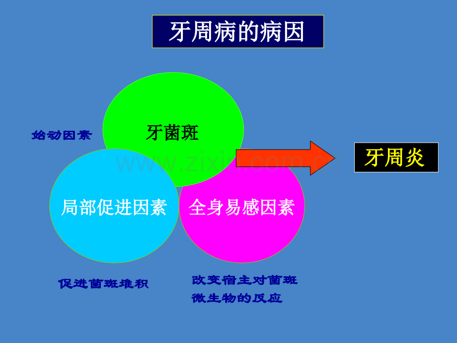 病因学ppt课件.ppt_第2页