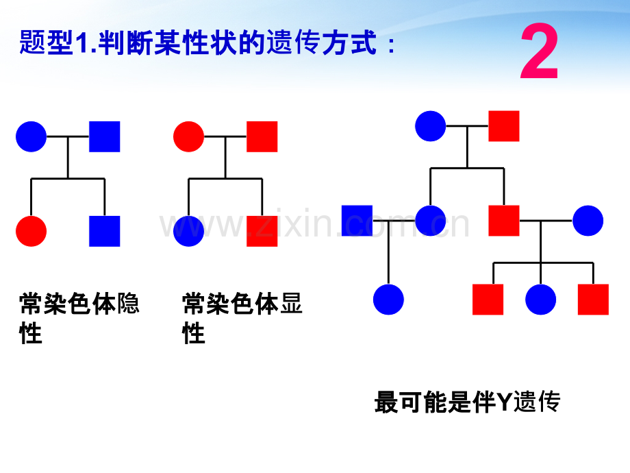 伴性遗传(方法判断).ppt_第3页