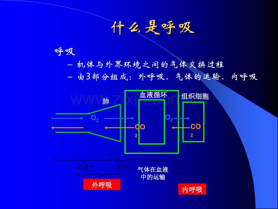 Drager呼吸机的使用!.ppt_第3页