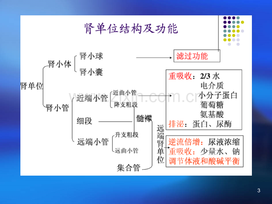 常用肾功能实验室检测.ppt_第3页