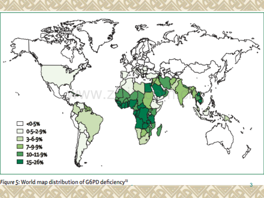 G6PD缺乏症(1)PPT课件.ppt_第3页