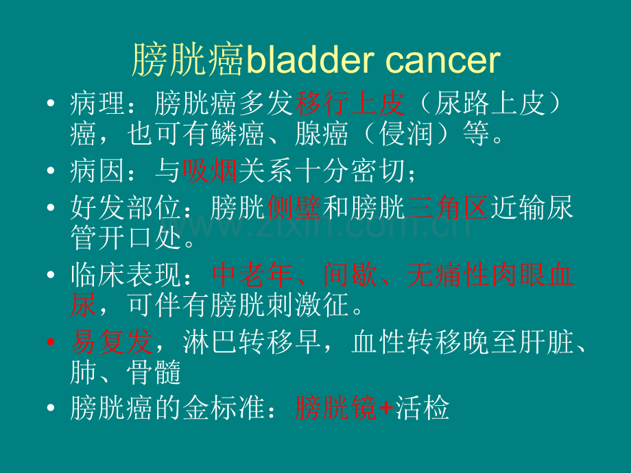 膀胱癌分期ppt课件.pptx_第2页