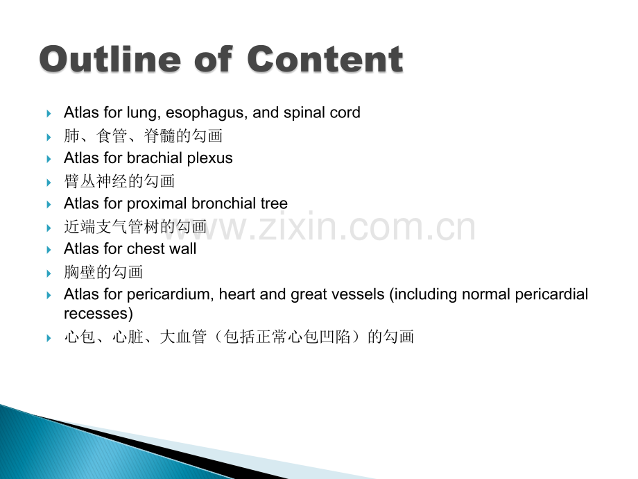 RTOG-放疗中胸部危及器官勾画-Organs-at-Risk-(OARs)-in-Thoracic.ppt_第2页