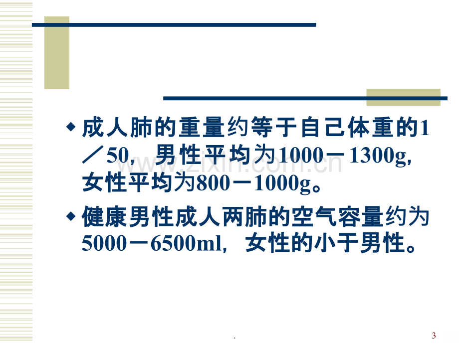 肺脏解剖及分段PPT课件.ppt_第3页