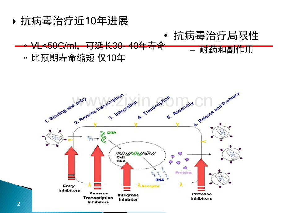 ART治疗指南解读ppt课件.ppt_第2页