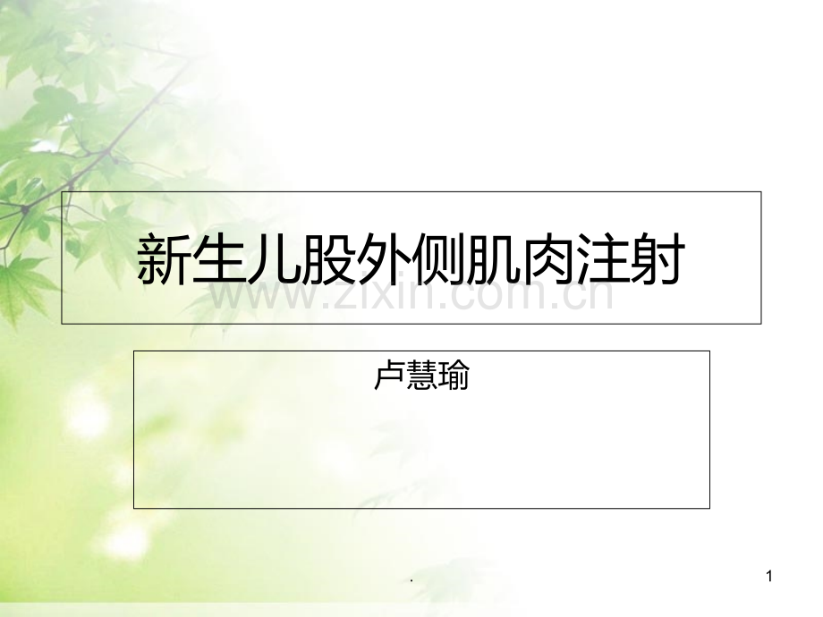 新生儿肌注PPT课件.ppt_第1页