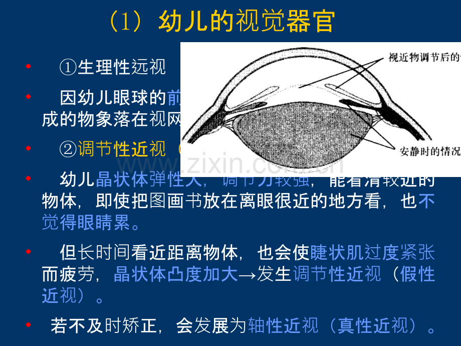 感觉器官的特点及卫生保健ppt课件.ppt_第2页