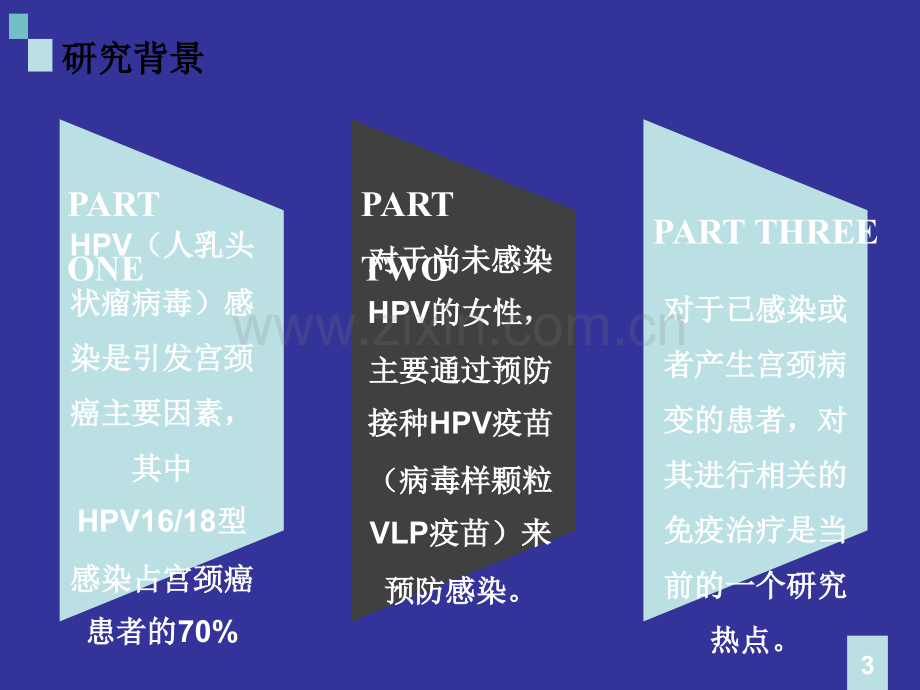 宫颈癌免疫治疗ppt课件.pptx_第3页