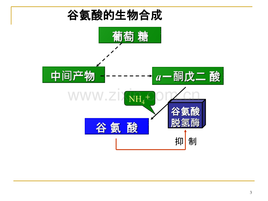 味精生产工艺流程-PPT课件.ppt_第3页