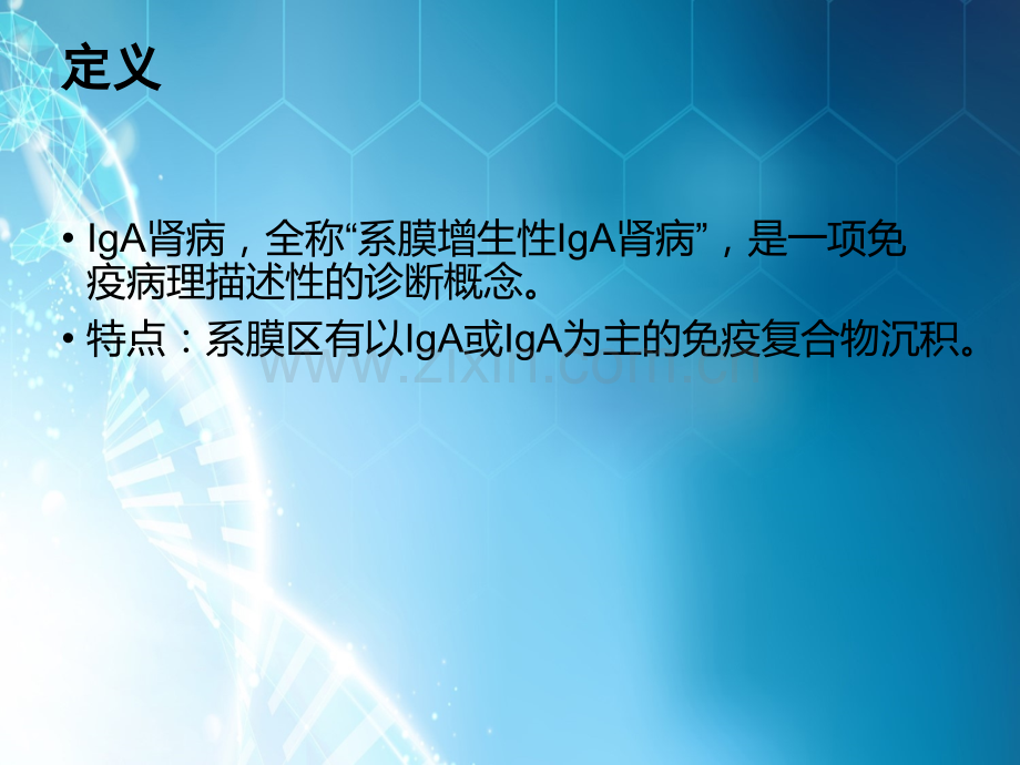 IgA肾病指南解读ppt课件.ppt_第2页