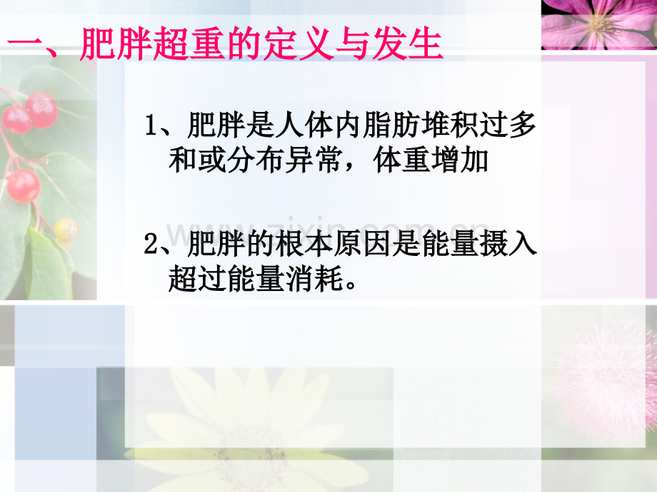 脂肪及脂肪酸与超重肥胖的关系PPT课件.ppt_第2页