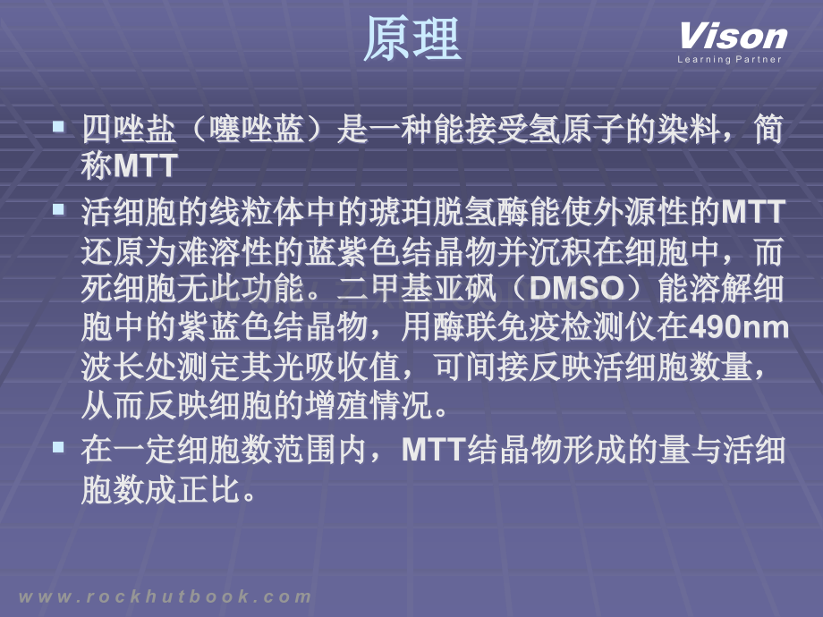 MTT法检测细胞活力.ppt_第3页