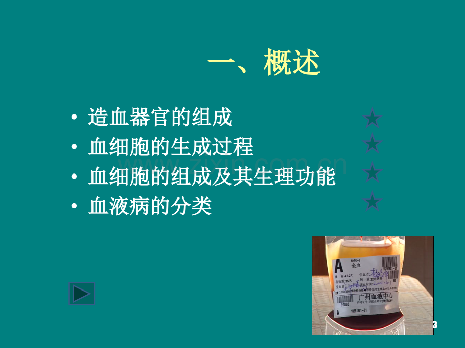 血液系统疾病病人的护理概述PPT课件.ppt_第3页